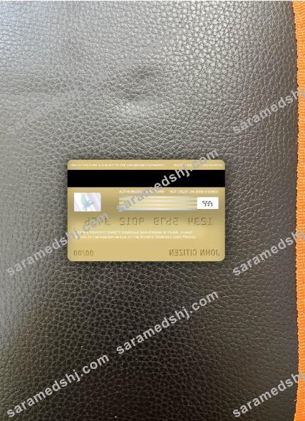 France Société générale bank visa gold card photolook back